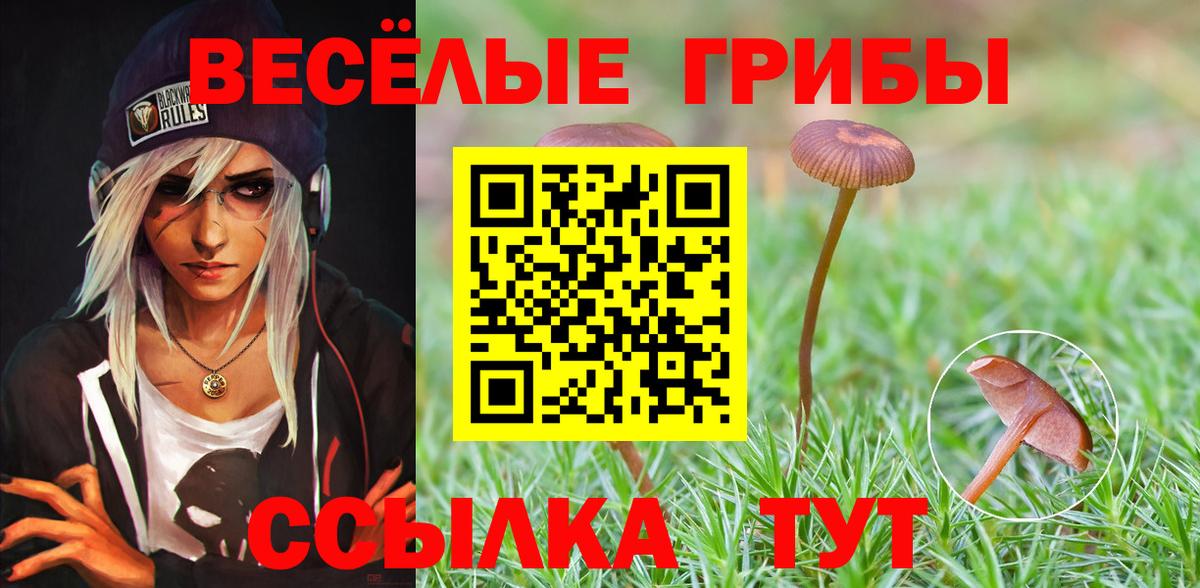 Галлюциногенные грибы мицелий Гусь-Хрустальный